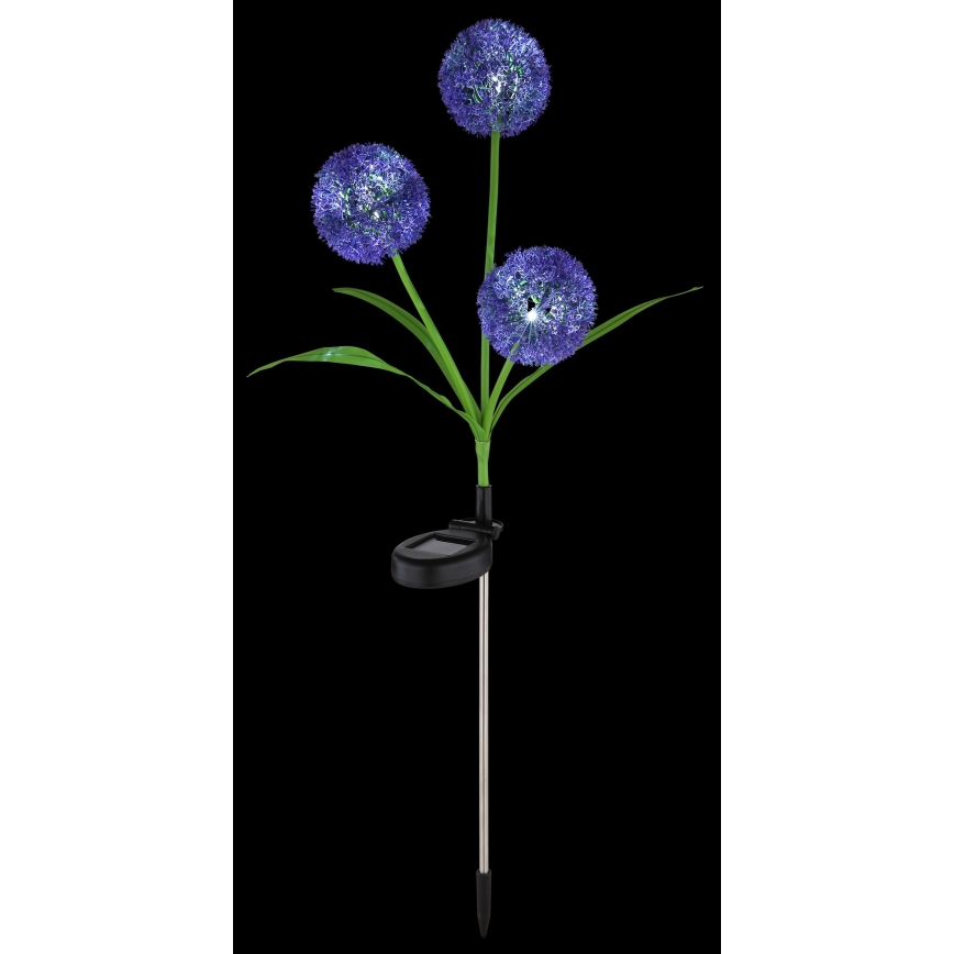 Globo - LED Saules enerģijas lampa 3xLED/0,06W/3V 5000K IP44 violeta
