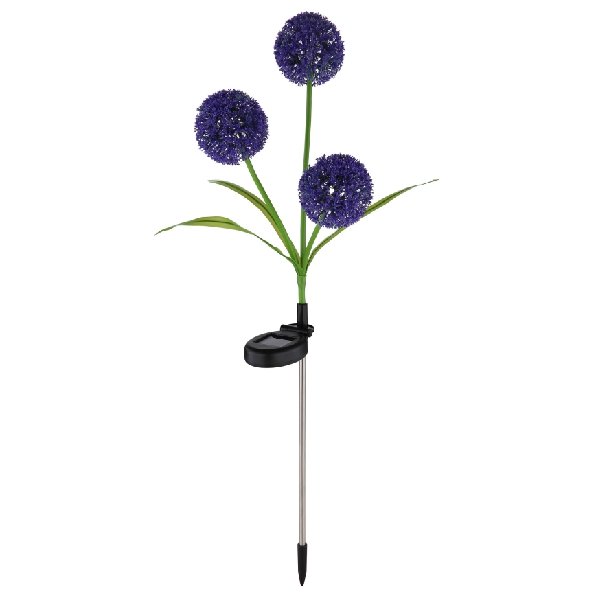 Globo - LED Saules enerģijas lampa 3xLED/0,06W/3V 5000K IP44 violeta