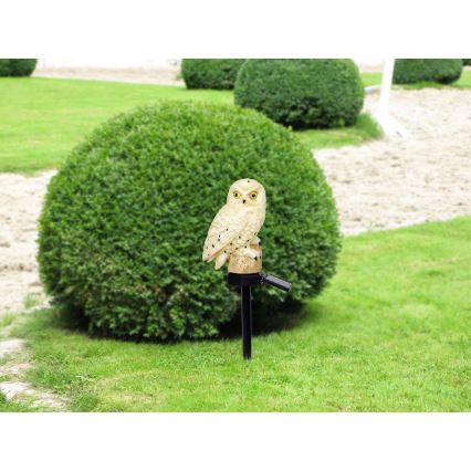 Globo - LED Saules enerģijas lampa LED/0,06W/3V IP44 pūce