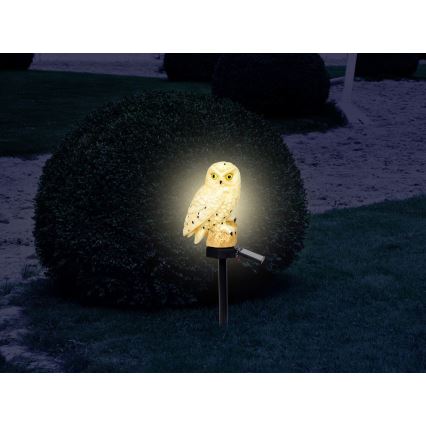 Globo - LED Saules enerģijas lampa LED/0,06W/3V IP44 pūce