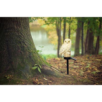 Globo - LED Saules enerģijas lampa LED/0,06W/3V IP44 pūce