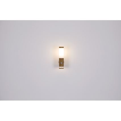 Globo - Āra lampa 1xE27/15W/230V IP44