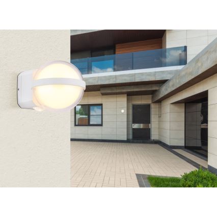 Globo - LED Āra sienas lampa LED/12W/230V IP54 balta