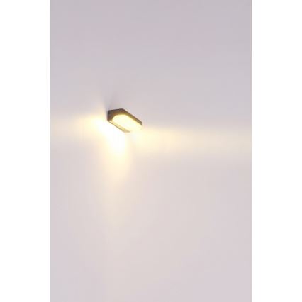 Globo - LED Āra sienas gaismeklis LED/20W/230V IP54
