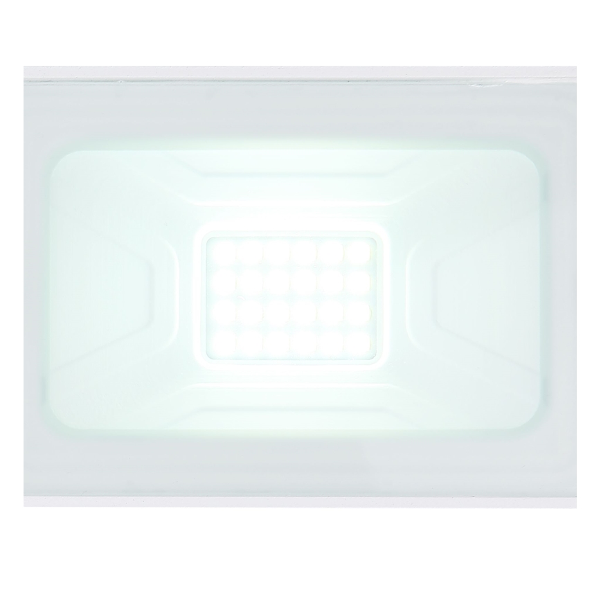 Globo - LED Prožektors LED/20W/230V IP65