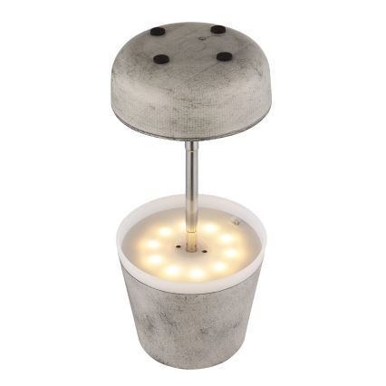 Globo - LED Saules enerģijas lampa 10xLED/0,06W/3V IP44 pelēka