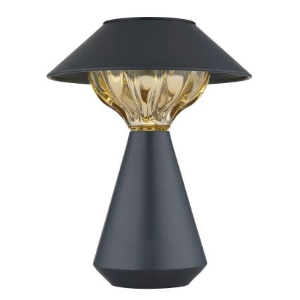 Globo - LED Saules enerģijas lampa 10xLED/0,06W/1,2V IP44 melna
