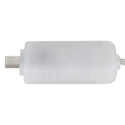 Globo - LED Lente 100xLED/0,06W/5V 10 m 8 funkciju