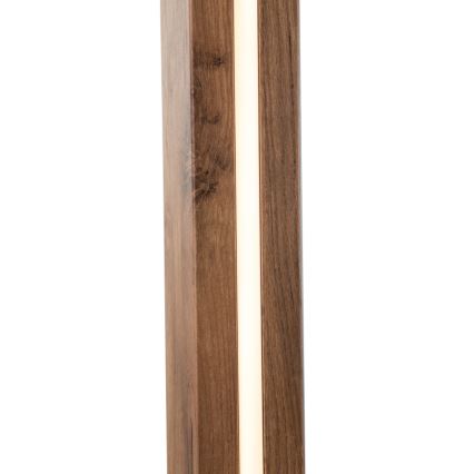 Globo - LED Grīdas stāvlampa LED/17W/230V + 1xE27/40W
