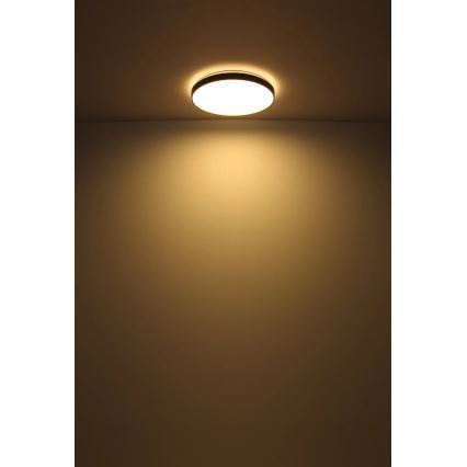 Globo - LED Griestu lampa LED/24W/230V d. 48 cm antracīta