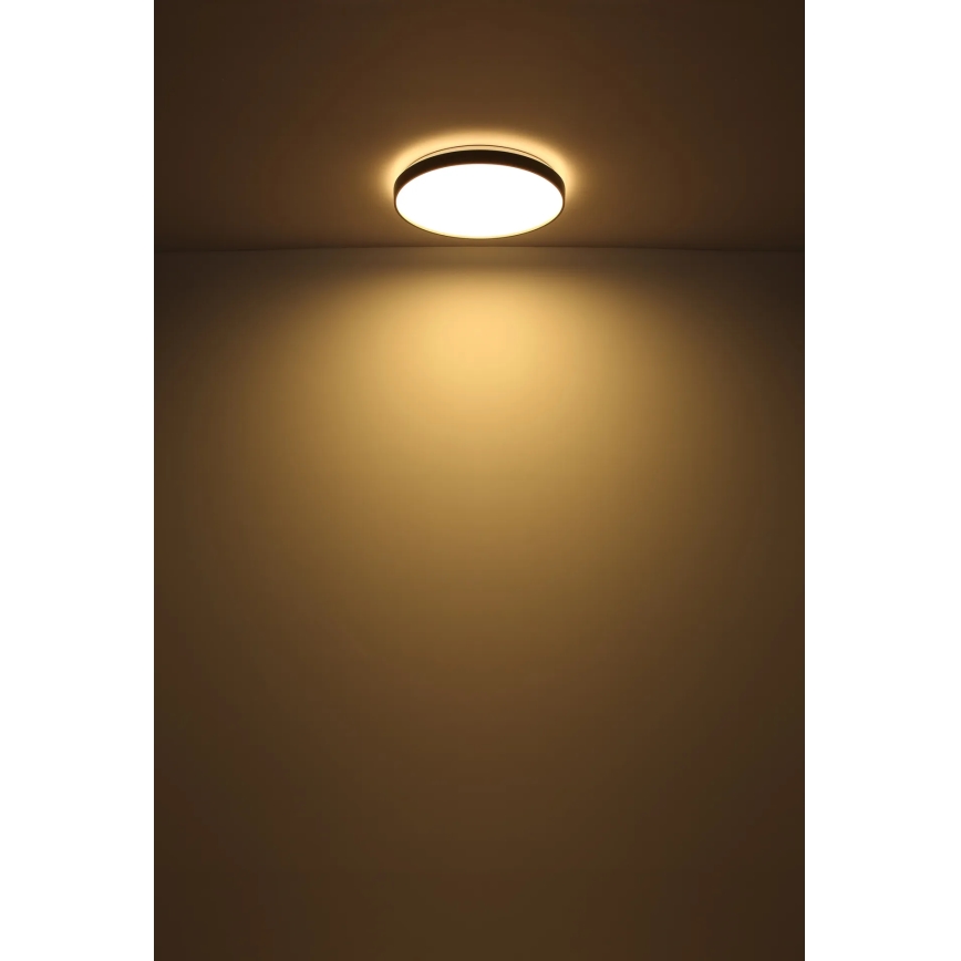 Globo - LED Griestu lampa LED/24W/230V d. 48 cm antracīta