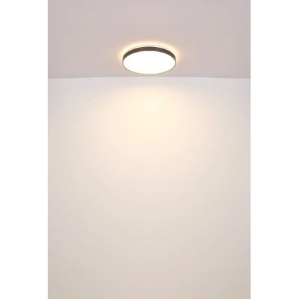 Globo - LED Griestu lampa LED/24W/230V d. 48 cm antracīta