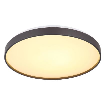 Globo - LED Griestu lampa LED/24W/230V d. 48 cm antracīta