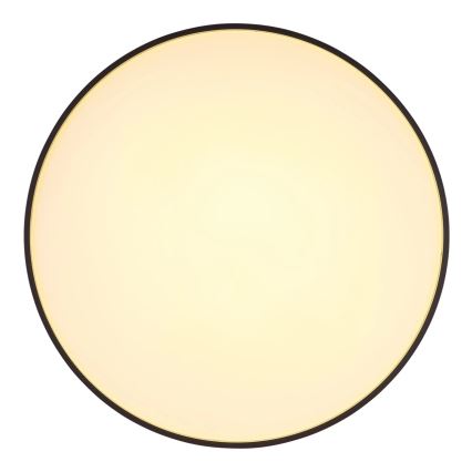 Globo - LED Griestu lampa LED/24W/230V d. 48 cm antracīta