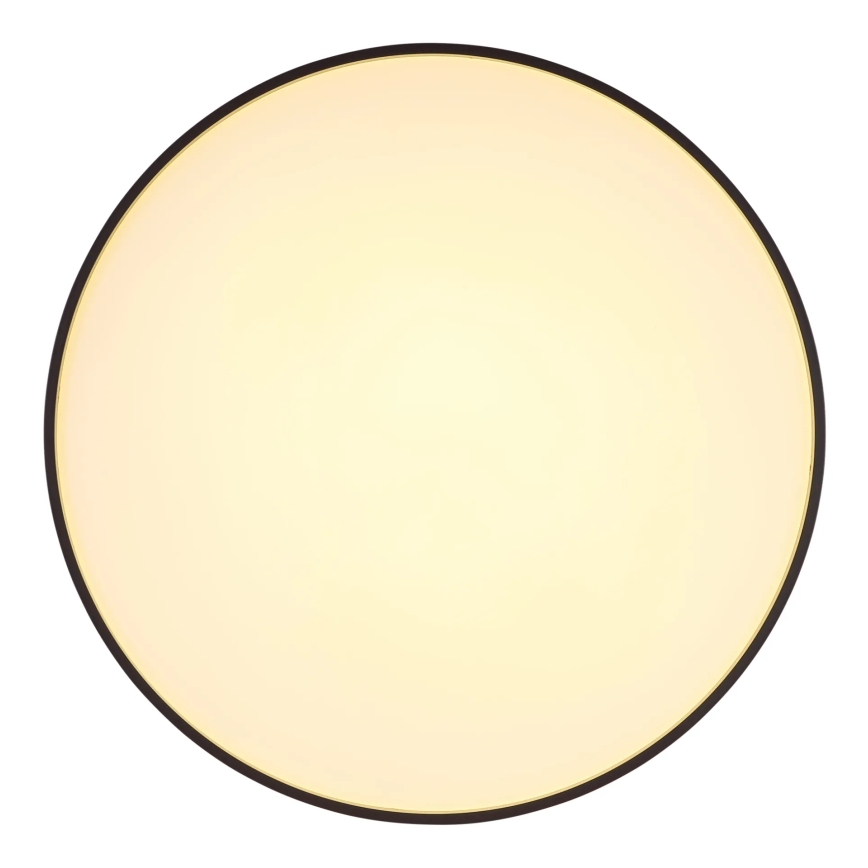 Globo - LED Griestu lampa LED/24W/230V d. 48 cm antracīta