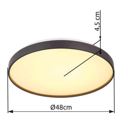 Globo - LED Griestu lampa LED/24W/230V d. 48 cm antracīta