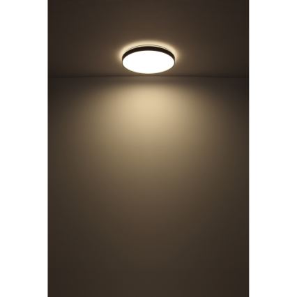 Globo - LED Griestu lampa LED/24W/230V