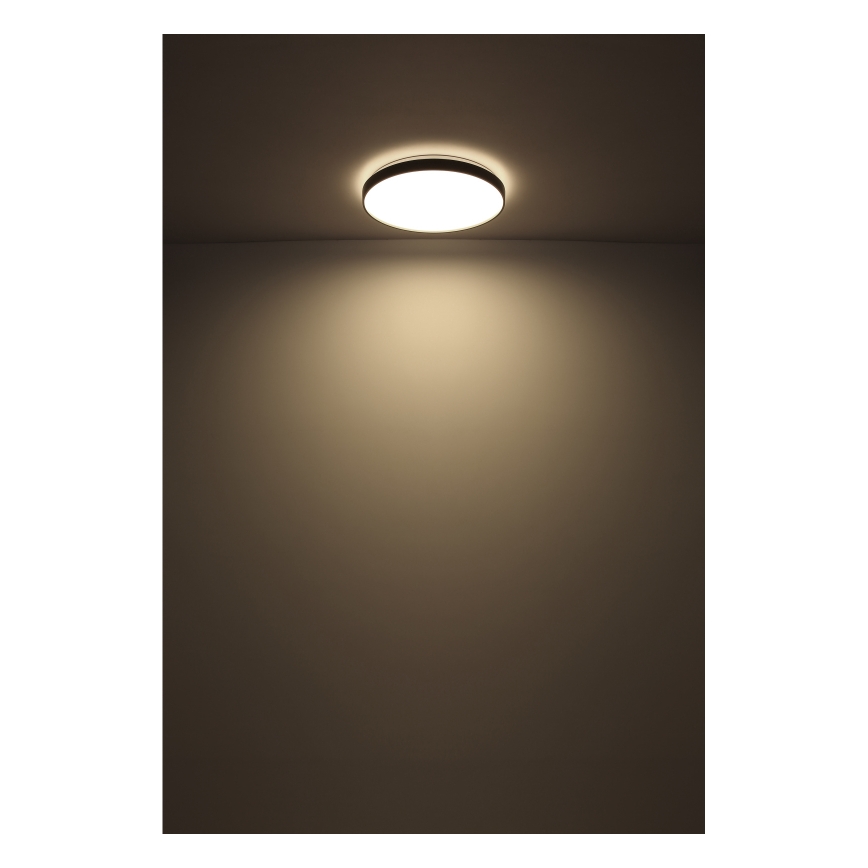Globo - LED Griestu lampa LED/24W/230V