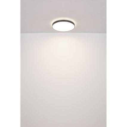 Globo - LED Griestu lampa LED/24W/230V