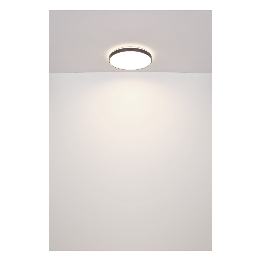 Globo - LED Griestu lampa LED/24W/230V