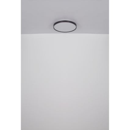 Globo - LED Griestu lampa LED/24W/230V