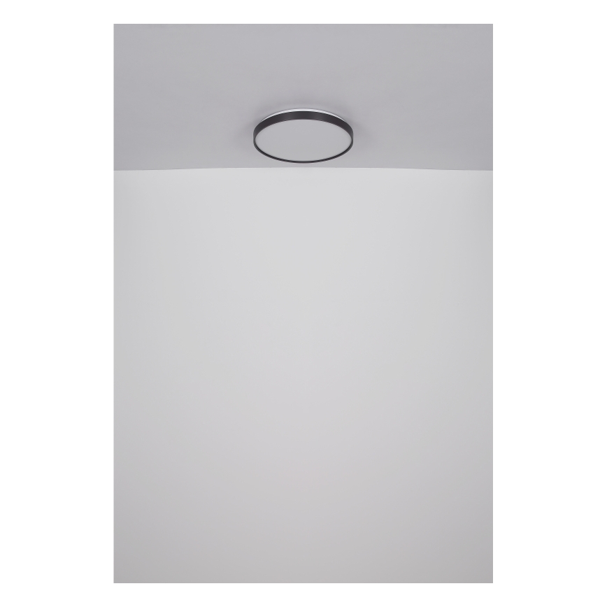 Globo - LED Griestu lampa LED/24W/230V