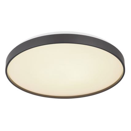Globo - LED Griestu lampa LED/24W/230V