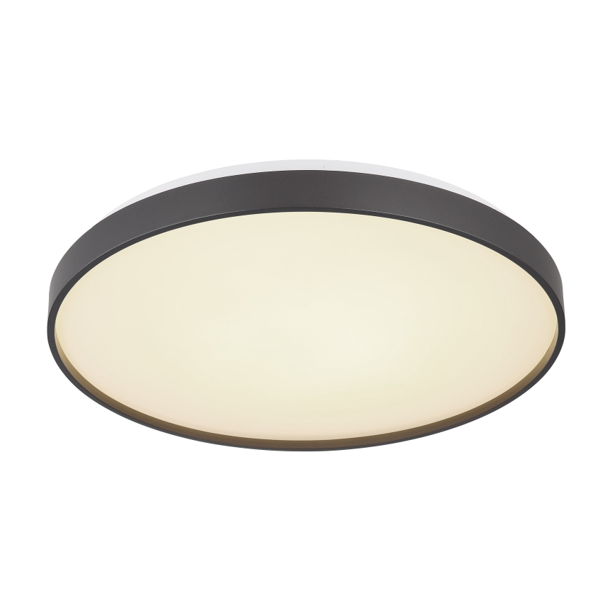 Globo - LED Griestu lampa LED/24W/230V