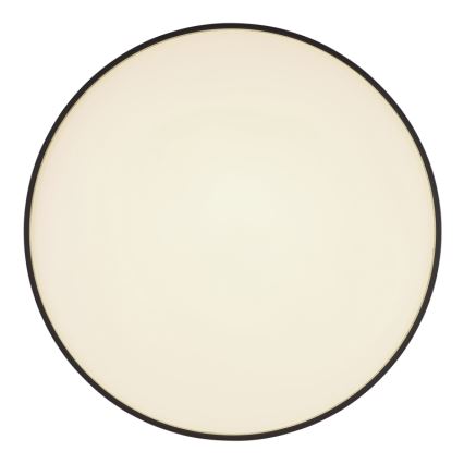 Globo - LED Griestu lampa LED/24W/230V
