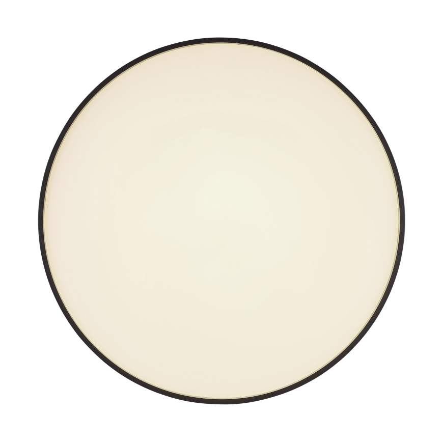 Globo - LED Griestu lampa LED/24W/230V