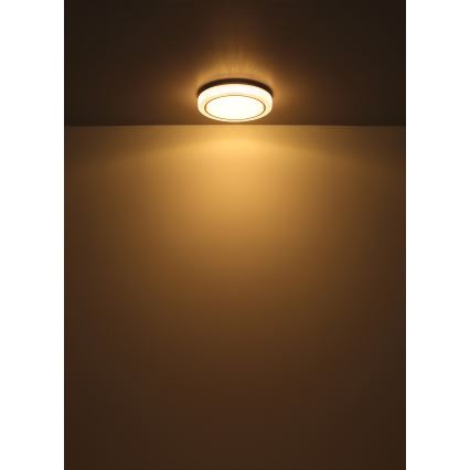 Globo - LED Griestu lampa LED/24W/230V d. 40 cm 3000K balta