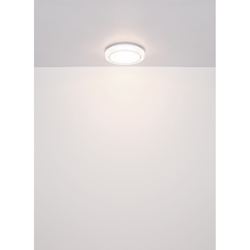 Globo - LED Griestu lampa LED/24W/230V d. 40 cm 4000K balta