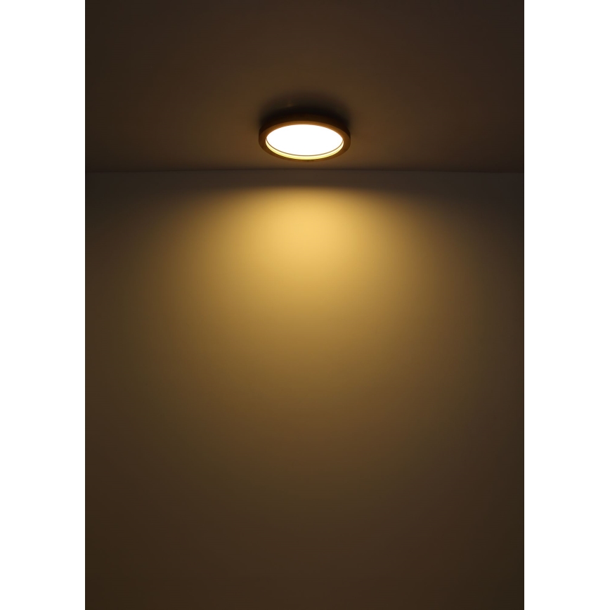 Globo - LED RGBW Aptumšojama griestu lampa LED/24W/230V 2700-6000K + tālvadības pults
