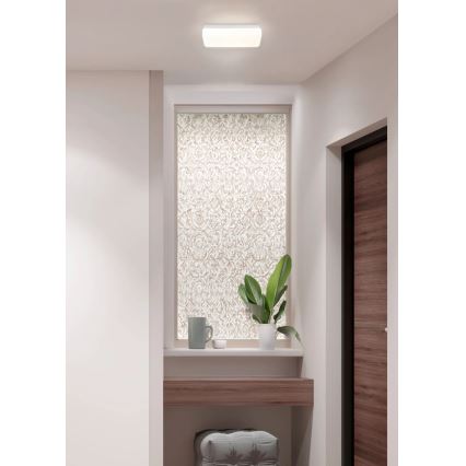 Globo - LED griestu gaismeklis LED/12W/230V 3000/4200/6500K 28,5x13,5 cm