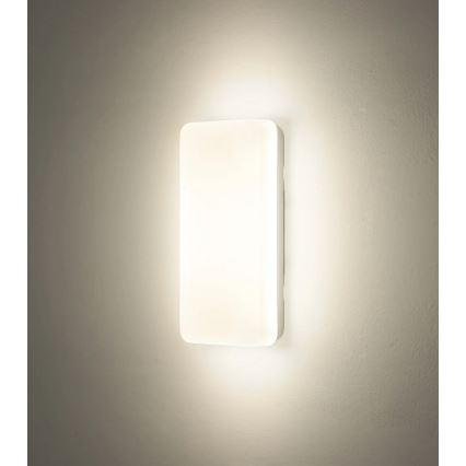 Globo - LED griestu gaismeklis LED/12W/230V 3000/4200/6500K 28,5x13,5 cm