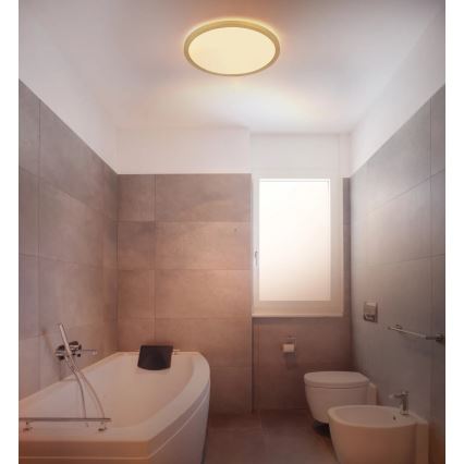 Globo - LED Aptumšojama vannas istabas griestu lampa LED/18W/230V 3000K IP44 d. 29,4 cm misiņš