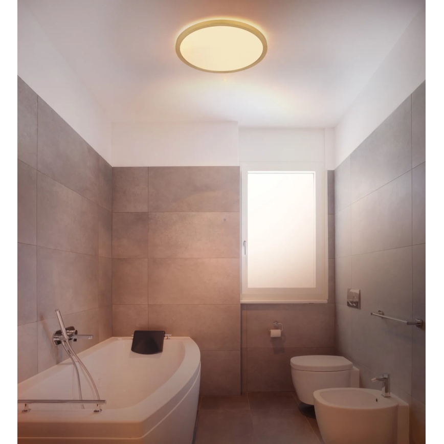 Globo - LED Aptumšojama vannas istabas griestu lampa LED/18W/230V 3000K IP44 d. 29,4 cm misiņš