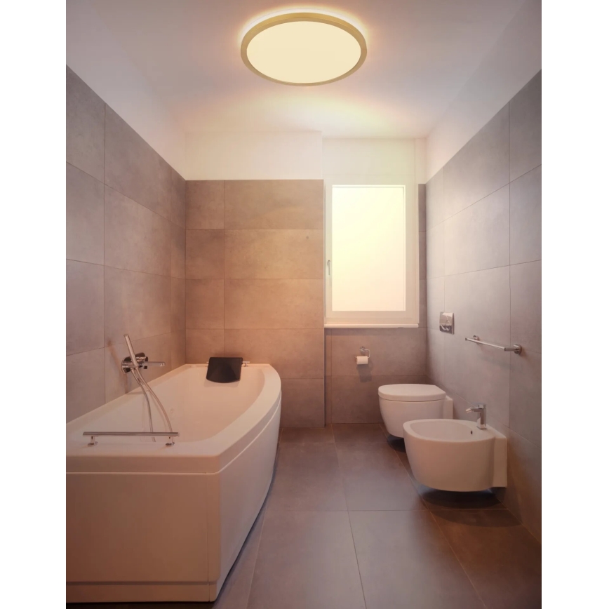 Globo - LED Aptumšojama vannas istabas griestu lampa LED/24W/230V 3000K IP44 d. 42 cm misiņš