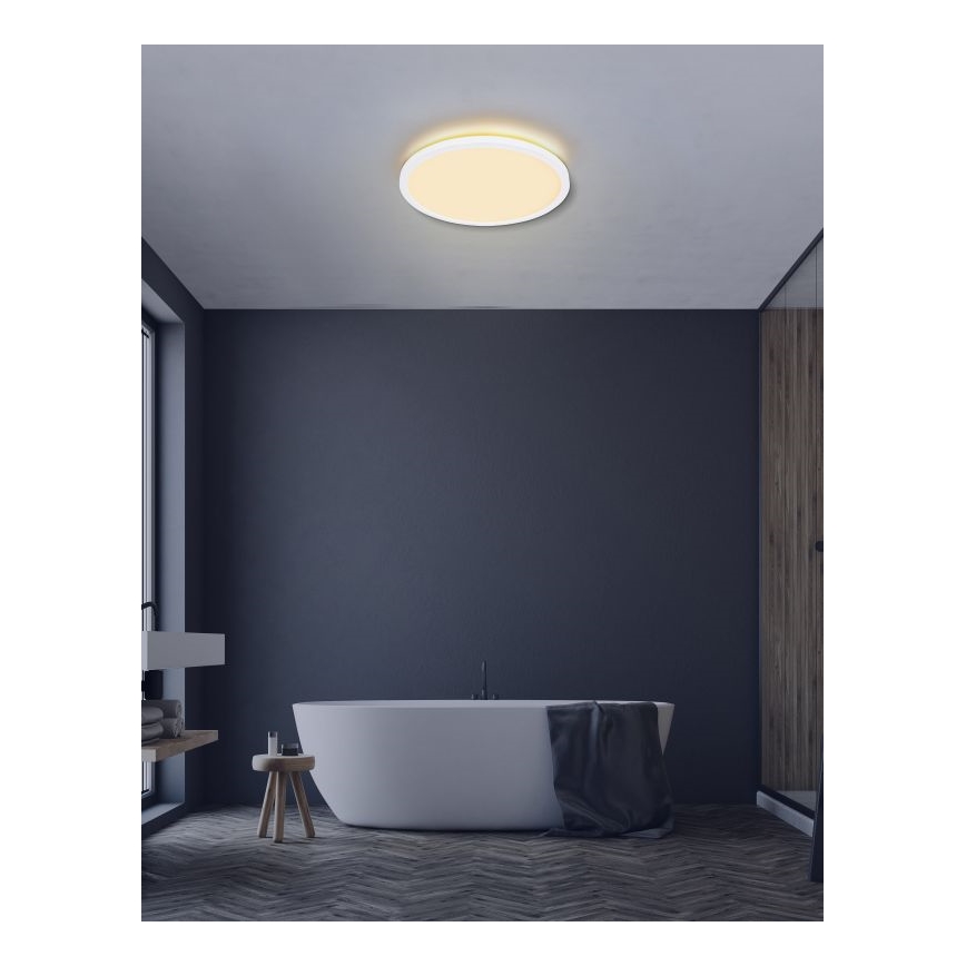 Globo - LED Aptumšojama vannas istabas griestu lampa LED/24W/230V d. 42 cm IP44 balta