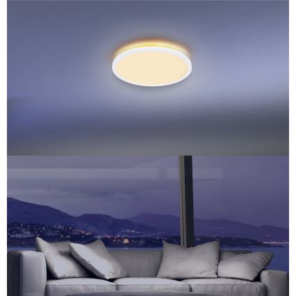 Globo - LED Aptumšojama vannas istabas griestu lampa LED/24W/230V d. 42 cm IP44 balta