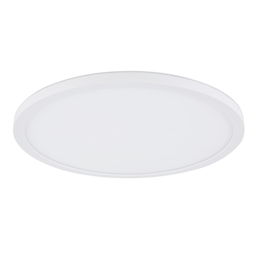 Globo - LED Aptumšojama vannas istabas griestu lampa LED/24W/230V d. 42 cm IP44 balta