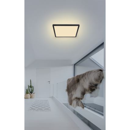 Globo - LED Aptumšojama vannas istabas griestu lampa LED/18W/230V 29,4x29,4 cm IP44 melna