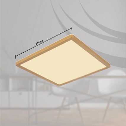 Globo - LED Aptumšojama vannas istabas griestu lampa LED/18W/230V 3000K IP44 29,4x29,4 cm misiņš