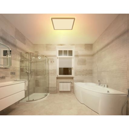 Globo - LED Aptumšojama vannas istabas griestu lampa LED/24W/230V 3000K IP44 42x42 cm misiņš