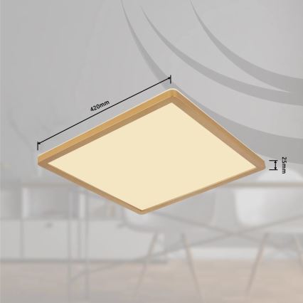 Globo - LED Aptumšojama vannas istabas griestu lampa LED/24W/230V 3000K IP44 42x42 cm misiņš