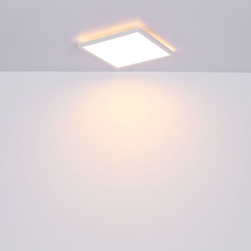 Globo - LED Aptumšojama vannas istabas griestu lampa LED/24W/230V 42x42 cm IP44 balta