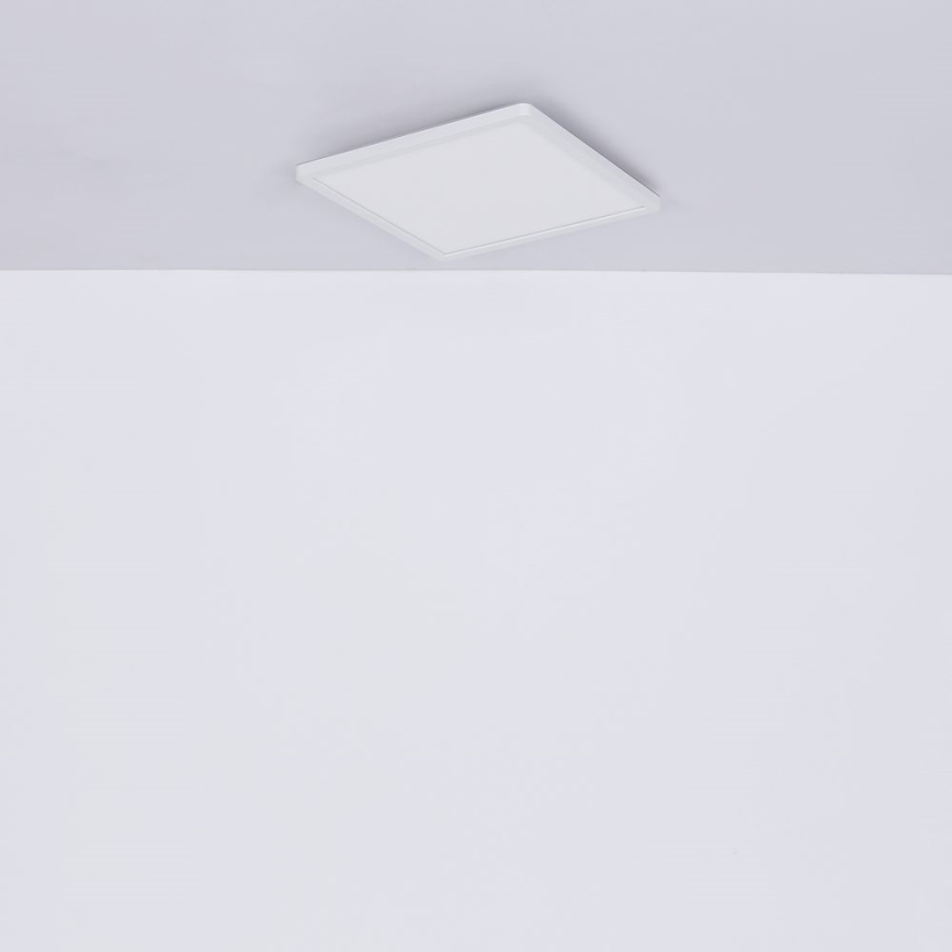 Globo - LED Aptumšojama vannas istabas griestu lampa LED/24W/230V 42x42 cm IP44 balta