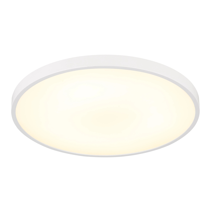 Globo - LED griestu gaismeklis LED/15W/230V 4000K Ø 23 cm balts