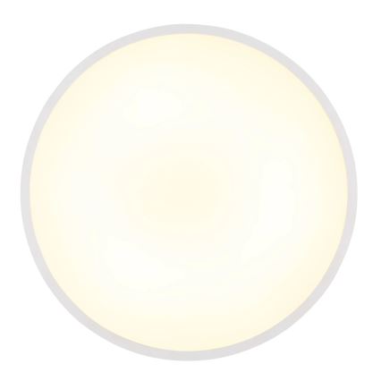 Globo - LED griestu gaismeklis LED/20W/230V 4000K Ø 30 cm balts