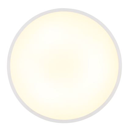 Globo - LED Griestu lampa LED/32W/230V 4000K d. 40 cm balta
